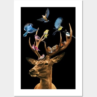 Birds with a Deer Posters and Art